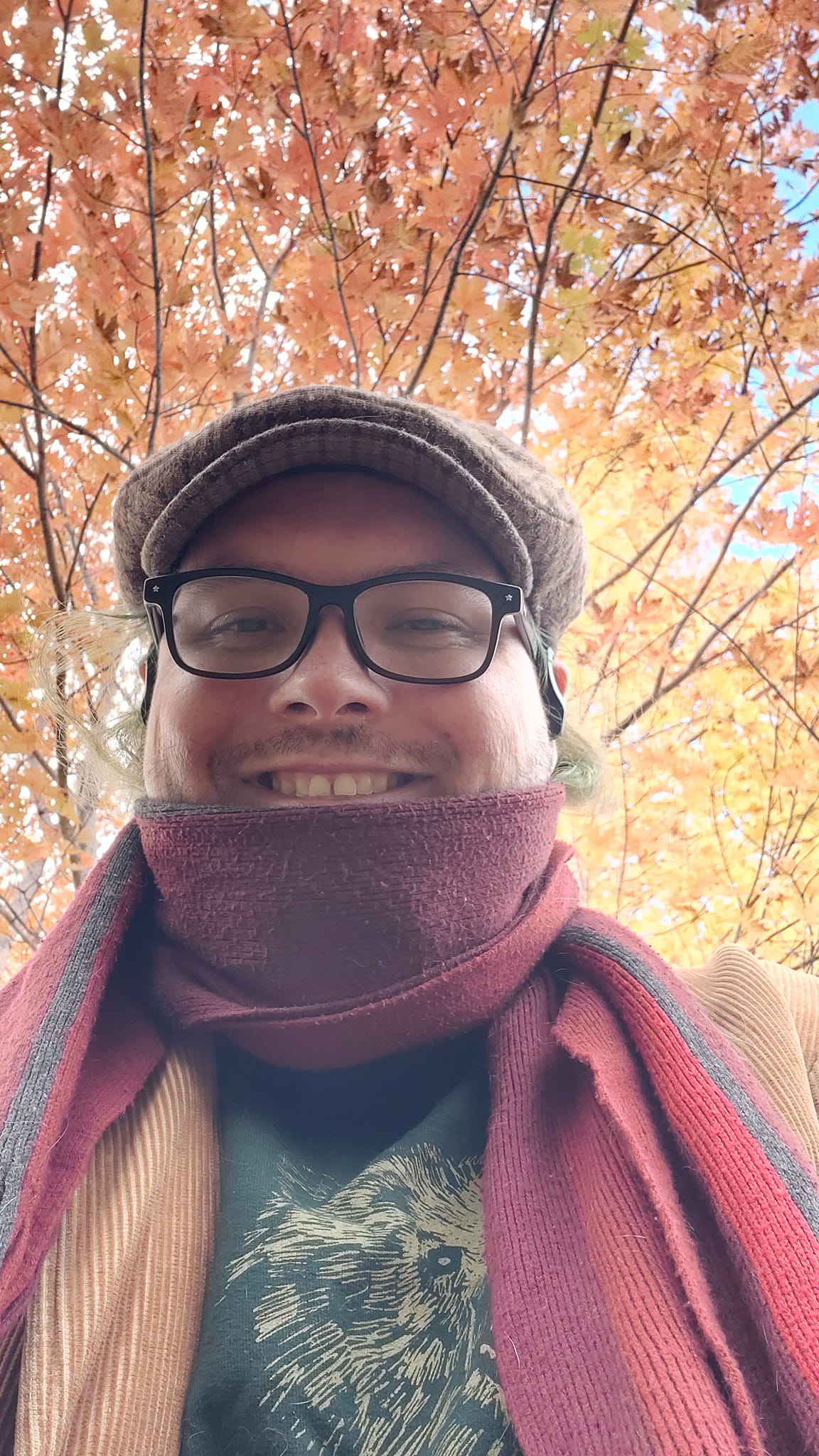 A man with long green hair wearing a green sweater, brown corderoy jacket and red scarf stands in front of a tree who's leaves have turned all colours, red through yellow, Photo 2